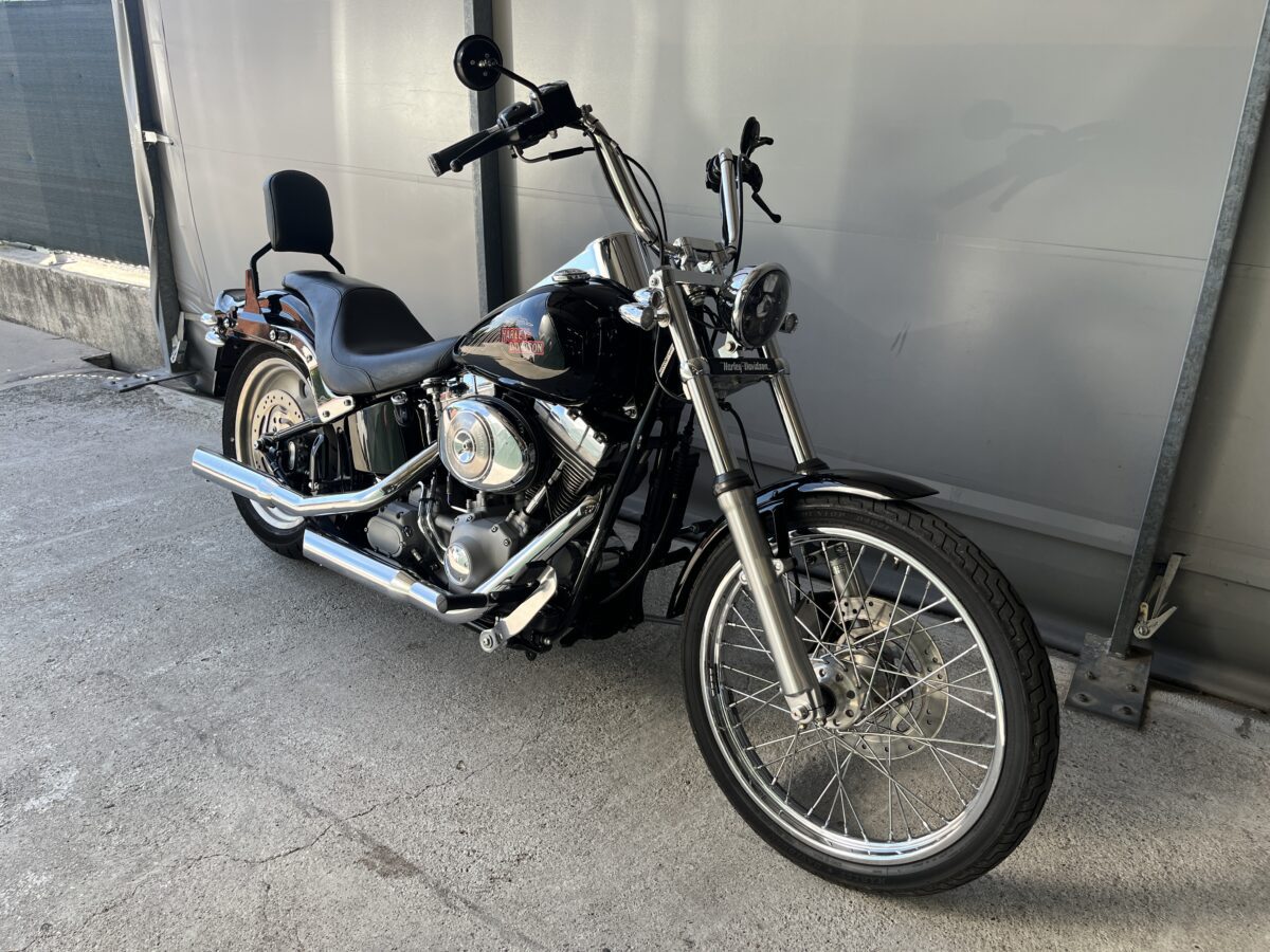 HARLEY DAVISON SOFTAIL 1450 - 2006 -59400KM - immagine 3