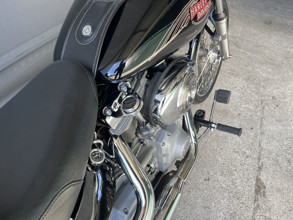 HARLEY DAVISON SOFTAIL 1450 - 2006 -59400KM - immagine 9