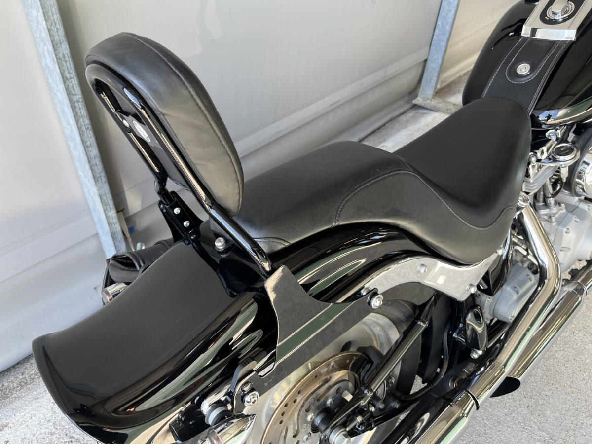 HARLEY DAVISON SOFTAIL 1450 - 2006 -59400KM - immagine 11
