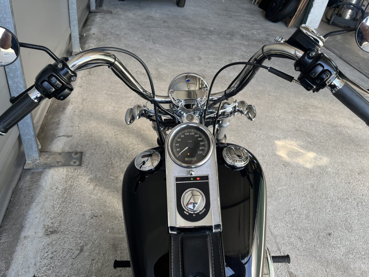 HARLEY DAVISON SOFTAIL 1450 - 2006 -59400KM - immagine 12
