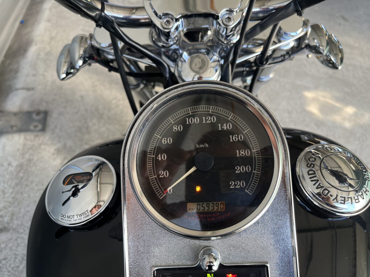 HARLEY DAVISON SOFTAIL 1450 - 2006 -59400KM - immagine 13