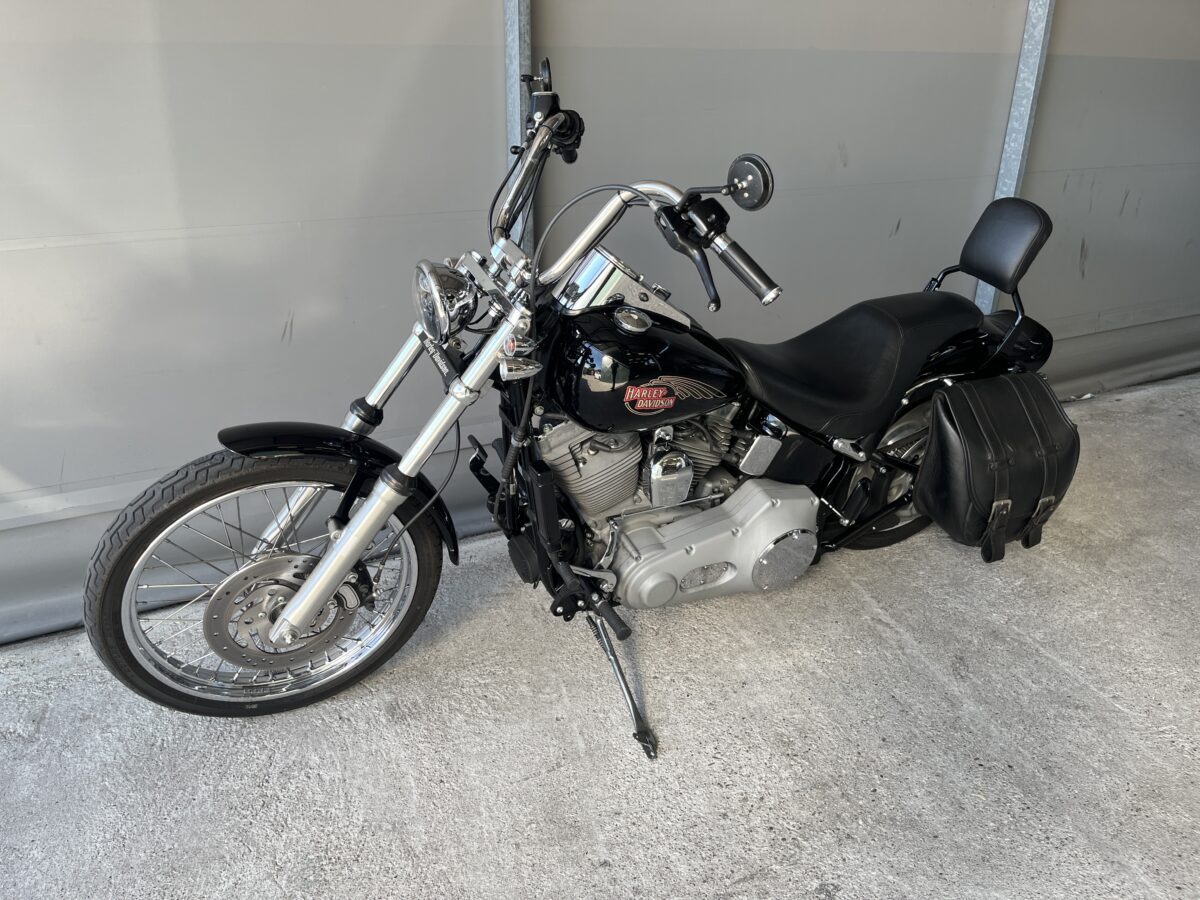 HARLEY DAVISON SOFTAIL 1450 - 2006 -59400KM - immagine 15