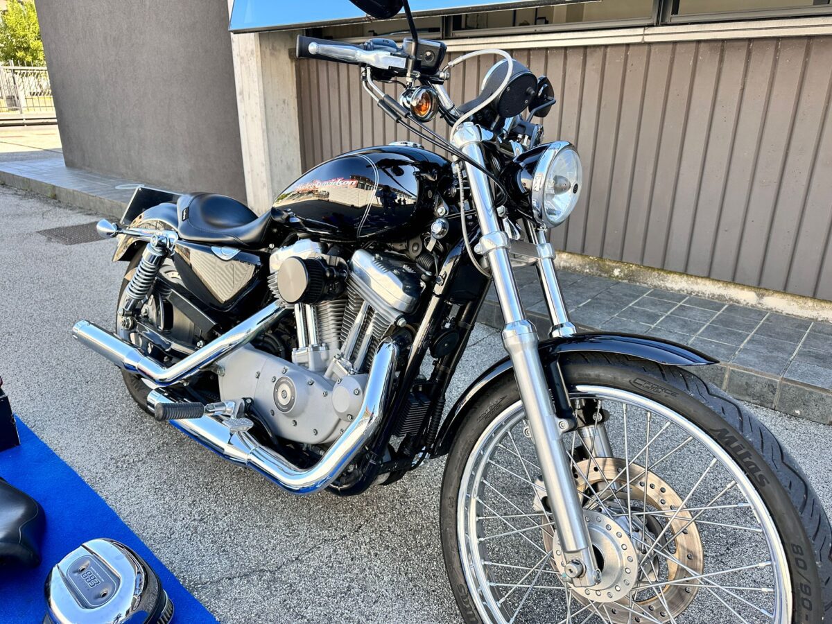 HARLEY DAVIDSON SPORTSTER 883 CUSTOM - 2006 - immagine 4